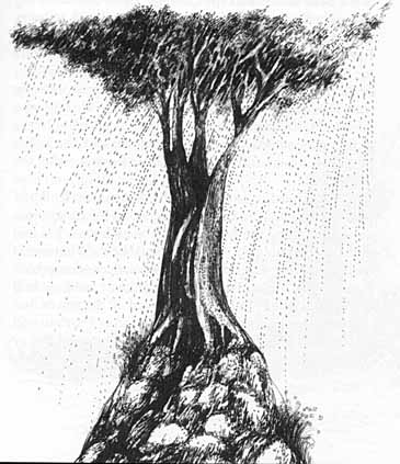 1land-3